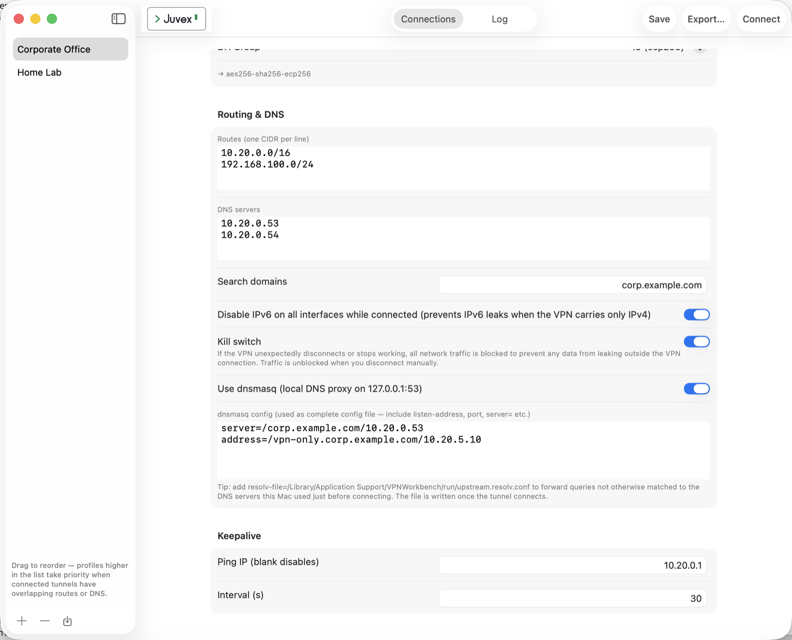 The Routing & DNS section of the profile editor, showing routes, DNS servers, kill switch and a dnsmasq config